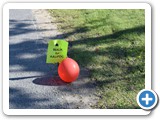 Walk for AAUPOC - 2017
