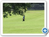 IMG_6560