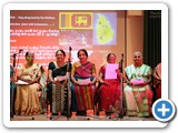 IMG_8325 SD