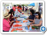 IMG_0693 SD