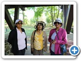 6 IMG_0245 SD 1